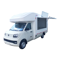 Mobil Van Retail Bensin Euro 5 dengan Pintu Sayap untuk Jualan Bunga dan Suvenir di Jalanan