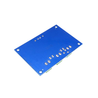 Carte d'amplificateur audio XH-M542 TPA3116 100W, DC 12V 24V, TPA3116DA, carte d'amplificateur audio numérique monocanal, module d'amplificateur haute puissance
