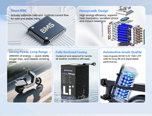 دراجة ثلاثية العجلات مركبة كهربائية 64 فولت 45 أمبير حزمة بطارية LiFePO4 IP65 مقاومة للماء دورات 60 + mph سرعة - Product Image 5