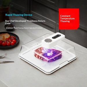 Décongélateur <span class=keywords><strong>rapide</strong></span> en plastique, <span class=keywords><strong>plaque</strong></span> et plateau <span class=keywords><strong>de</strong></span> décongélation <span class=keywords><strong>rapide</strong></span> pour viande et fruits <span class=keywords><strong>de</strong></span> mer congelés, utilisation domestique en cuisine - Product Image 2