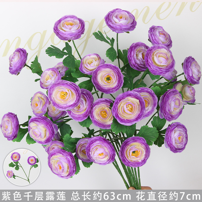 Branche de lotus rosée en couches violettes