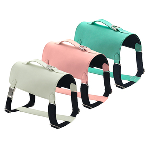 <span class=keywords><strong>2026</strong></span> Neues Design Personalisiertes PU-Tierhalsband und Leinen-Set mit Einfarbigem Druck und Zierbändern - Product Image 1