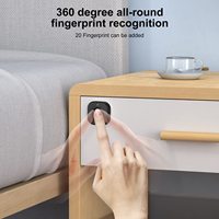 Serrures de placard à empreintes digitales Tuya Biométriques Sans clé Alliage d'aluminium Boîte en bois Meuble Tiroir Serrure