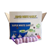 Exportation d'ail blanc frais biologique de la dernière récolte vers l'Afrique (Angola/Sénégal/Gongo/Gabon/Ghana/Kenya/Mali)