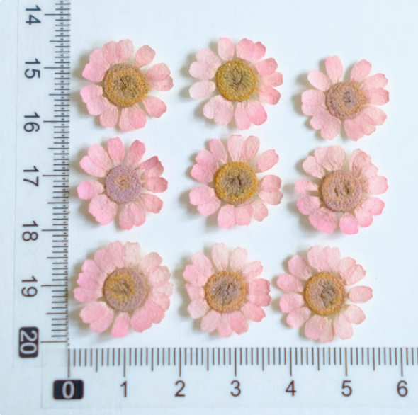 Pink-12pcs de lumière MH657-Dyed