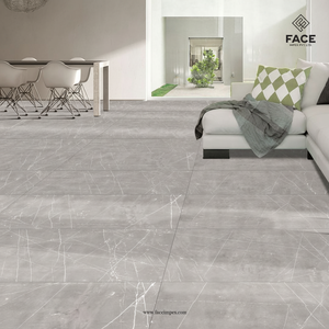 Mejore sus interiores con elegantes azulejos de porcelana de 600x600 mm procedentes de los mejores fabricantes de la India, azulejos de buena calidad y el mejor diseño. - Product Image 1