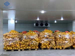 ห้องแช่แข็งแบบกำหนดเองสำหรับโรงเบียร์เบียร์เบียร์และยีสต์ที่อุณหภูมิต่ำ - Product Image 2