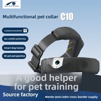 Caméra de collier pour animaux de compagnie avec vue à la troisième personne, GPS, navigateur, localisateur étanche en plastique, suivi de santé et d'activité en direct, petite/moyenne taille
