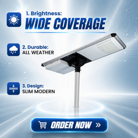 Lampadaire solaire LED tout-en-un, étanche IP65, avec télécommande, pour projets routiers et de jardins au Nigeria