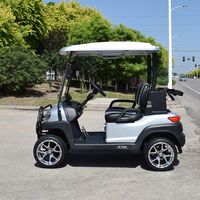 Voiturettes de golf électriques 2 places chinoises prix bon marché voiture buggy à vendre