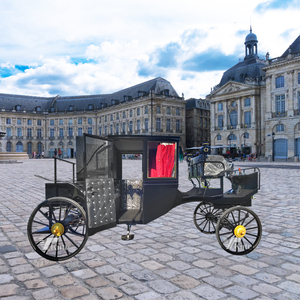Meilleures ventes : Carrosse royal victorien personnalisé pour le transport de chevaux, véhicule utilitaire, carrosse à chevaux, à vendre - Product Image 6