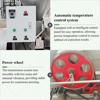 Schroefpers Extruder Beste Zx Olijvenpers Koude Kokos Palm Kleine Schaal Zonnebloem Geperste Oliepers Machine Te Koop