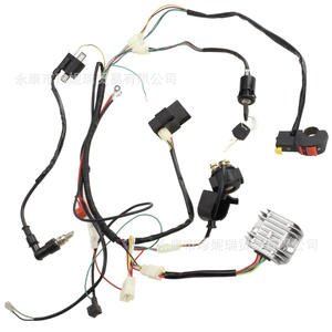 Xs006 150 Conjunto de Arnés de Encendido Eléctrico para Motocicleta Todoterreno, para Motor Vertical Cg125 150 250Cc - Product Image 1