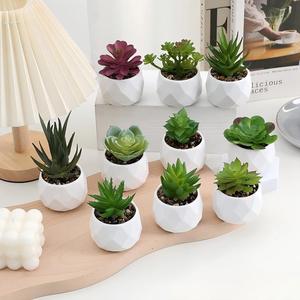 Mini-Plantes Succulentes Artificielles <span class=keywords><strong>en</strong></span> <span class=keywords><strong>Pot</strong></span> Céramique Blanc – Écologiques, Durables, Légères, de Haute Qualité, Réalistes et Résistantes aux UV - Product Image 4