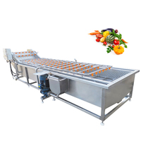 Automatische industriële groente- en fruitbellenwasmachine motor hoge precisie 304 roestvrijstalen verwerkingslijn maïsmeel