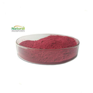 Certificaciones de Múltiples Productos, Polvo de Opuntia Ficus Indica de Alta Calidad, Extracto de Fruta de Nopal Soluble en Agua - Product Image 4