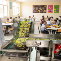 Chaîne de production de frites surgelées de qualité supérieure, machine automatique de friture de légumes, capacité 1000, 380V