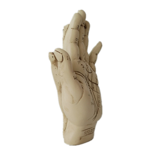 Scultura in resina Fortune Telling Palm Reading con libretto Palmistry Hand Model - Product Image 5