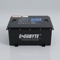 Baterai Mobil Lithium LiFePO4 Kustom 25.6V 100Ah