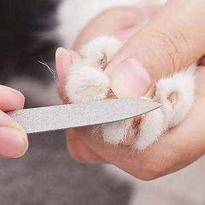 Cortauñas Profesionales de Acero Inoxidable para Mascotas, Productos para el Cuidado de Animales, Tijeras para Recortar Uñas de Perros, en Oferta - Product Image 6