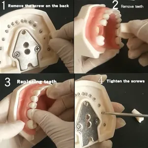Mô Hình Hàm Phục Hồi Giả Nha Khoa (32 Răng) Mô Hình Đầu Bảng Tiêu Chuẩn Mô Hình Răng Chuẩn Bị Phục Hồi Răng