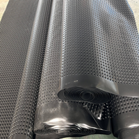 Mesin Pembuat Membran Tahan Air HDPE Anti UV, Extruder Sekrup Tunggal untuk Lini Ekstrusi Geomembran HDPE Turnkey