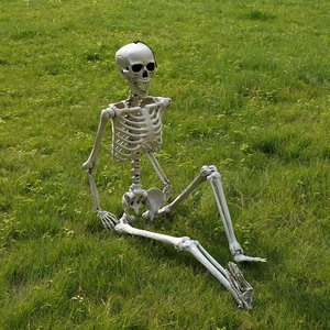 5.3ft 160cm posa scheletro Prop ossa umane realistiche scheletro di Halloween per Halloween casa stregata Indoor Outdoor - Product Image 4