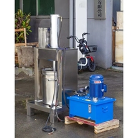 Commerciële hydraulische koudpersmachine voor pure groenten, citroenen, fruit, druiven, wijn, kersen, automatisch