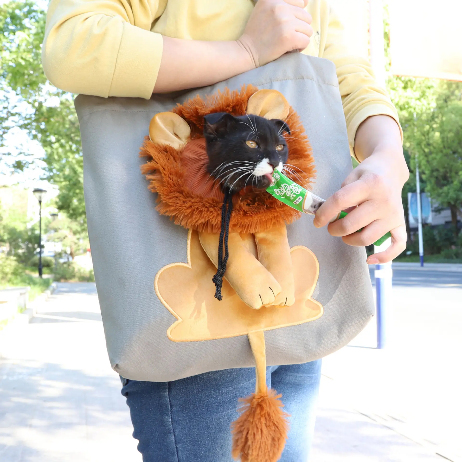 La forme d'un lion avec une tête raccourcie sac à main de transport en toile pour animaux de compagnie voyage en plein air sac à bandoulière fourre-tout de voyage confortable