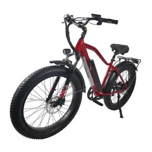 国家ebike城市48v 500w 1000W八方电动山地自行车的高质量规格