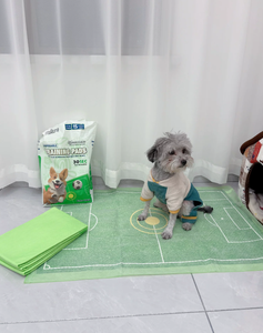 Einweg-Haustier-Trainingsunterlagen Hohe Saugfähigkeit Auslaufsicher Rutschfest Geruchskontrolle für Welpen - Product Image 6