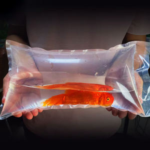 Siervistransportoplossing Verdikte Pe Plastic Levende Viszakken Met Zuurstof Opgeblazen Voor Effectieve Levende Visverpakkingen - Product Image 6