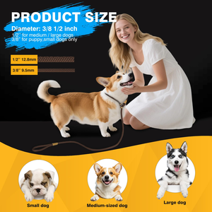 High Quality Classic Heavy Duty Dog <b>Training</b> <b>Lead</b> Leash No Pull Design Polypropylene Durable Pet Leash for Daily Dog Walking - Product Image 2