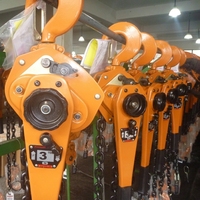 Palans à levier manuels 0,75T 1,5T 3T 6T en acier allié G80 avec chaîne à cliquet pour levage et amarrage dans la construction de sidérurgies