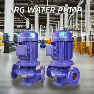 Bomba de Circulación Vertical Serie <span class=keywords><strong>IRG</strong></span>, Bomba de Agua Industrial Eléctrica, Bomba de Refuerzo para la Industria de Biocombustibles, Hierro Fundido, Compatible con OEM, Succión <span class=keywords><strong>2</strong></span> - Product Image 3