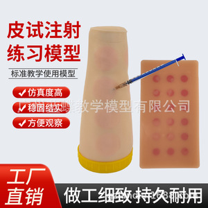 Modèle avancé d'injection intradermique du bras ; modèle d'entraînement pour tests cutanés ; injection sous-cutanée ; modèle d'entraînement ; modèle de bras - Product Image 4