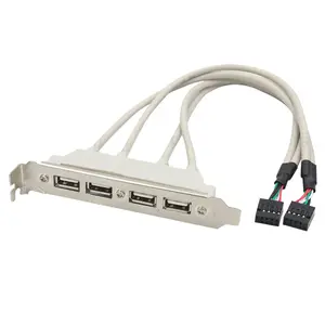 Cavo deflettore USB 2.0 da 30cm Dupont da 9pin a 4 porte per Computer Mainframe in stock