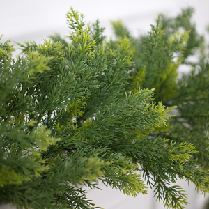 Two-Tone Cypress <b>Leaf</b> PE Artificial Garland, Christmas Foliage <b>Vine</b> for Home Fireplace & Tabletop Decoration - Product Image 5