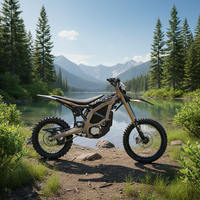 Moto électrique Surron Ultra Bee 2026 pas chère, 24,5 kW, moto tout-terrain sportive électrique pour adultes, Surron Ultrabee