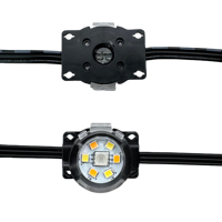 20 Pixels DC24V WS2805 RGBIC + CCT 5 couleurs 3cm rond adressable LED permanent extérieur maison avant-toit lumières 3Pin fil noir IP68
