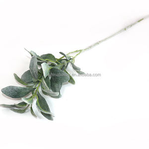 FC7406 Commercio All'ingrosso artificiale affollamento foglie mestiere dusty miller di seta foglie di eucalipto - Product Image 2