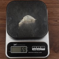 Corps de leurre de pêche biomimétique G12 de 6 cm et 6,5 g pour la pêche au crankbait, vente en gros