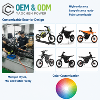 Moto tout-terrain électrique 2000W 48V avec batterie au lithium, transmission centrale, double suspension, pour adultes, OEM ODM