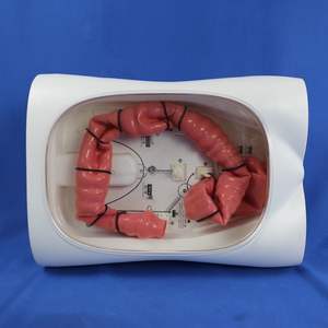 Colonscopio modello di allenamento per endoscopio digestivo 02 <span class=keywords><strong>Video</strong></span> colonscope - Product Image 6