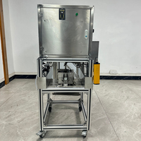 Hete Aanbieding Commerciële Appel Schil- en Ontpittermachine Automatische Fruit Schil- en Ontpittermachine voor Fruitverwerkingslijn