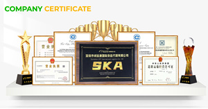 Agente de Transporte <span class=keywords><strong>Premium</strong></span> de Guangzhou a España ES DDP, Tarifa Completa con Doble Despacho de Aduanas, 5-7 Días LCL + Express para FBA a Irlanda - Product Image 6