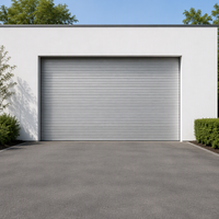 Porte de garage à enroulement en acier sur mesure Goldway, électrique, étanche, résistante au vent, garantie de 2 ans