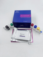 Kit humain de GLP1 (glucagon comme le peptide 1) ELISA