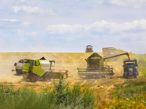 Top Brand Top Brand Rg25 Bibo 25hp Rg25 2 Rows Combine <b>Harvester</b> 1250mm Working Width 2wd Mini Rice Wheat <b>Harvester</b> Small Plot - Product Image 4