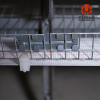 Équipement de ferme avicole Système d'alimentation et d'abreuvement automatique Haute densité Durable galvanisé à chaud un type Cages pour poules pondeuses